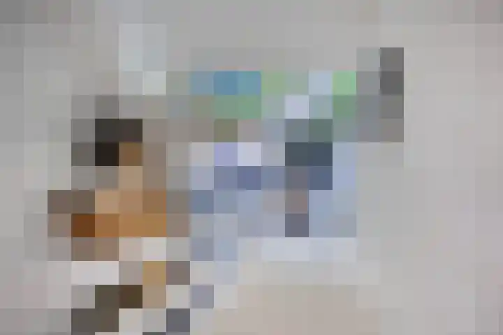 Van Haersmasingel 47 Oentsjerk thumbnail 22