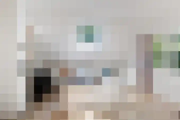 Van Haersmasingel 47 Oentsjerk thumbnail 25
