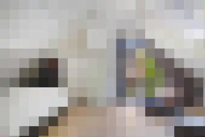 Van Haersmasingel 47 Oentsjerk thumbnail 27