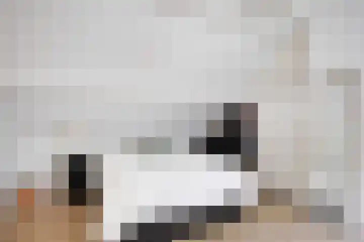 Van Haersmasingel 47 Oentsjerk thumbnail 28