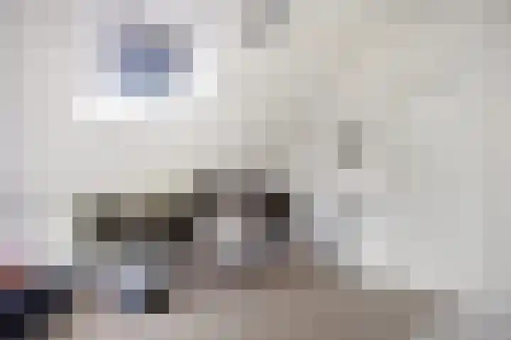 Van Haersmasingel 47 Oentsjerk thumbnail 29