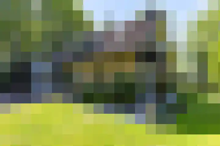 Van Haersmasingel 47 Oentsjerk thumbnail 32
