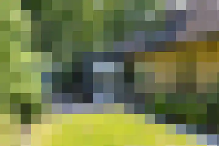 Van Haersmasingel 47 Oentsjerk thumbnail 33