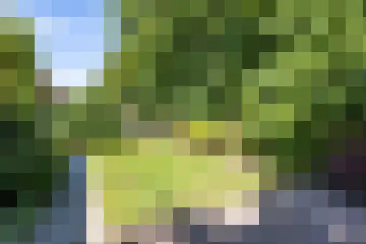 Van Haersmasingel 47 Oentsjerk thumbnail 35