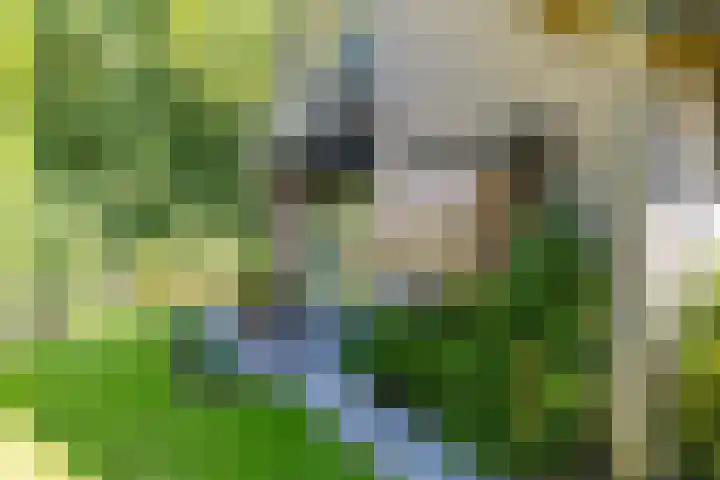 Van Haersmasingel 47 Oentsjerk thumbnail 36