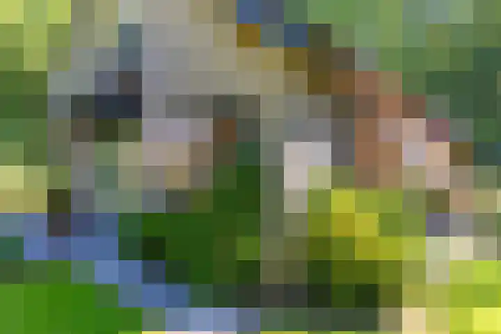 Van Haersmasingel 47 Oentsjerk thumbnail 37