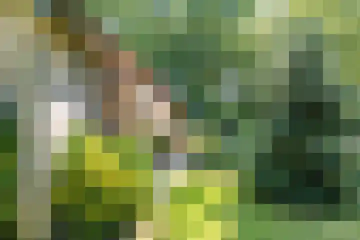 Van Haersmasingel 47 Oentsjerk thumbnail 38