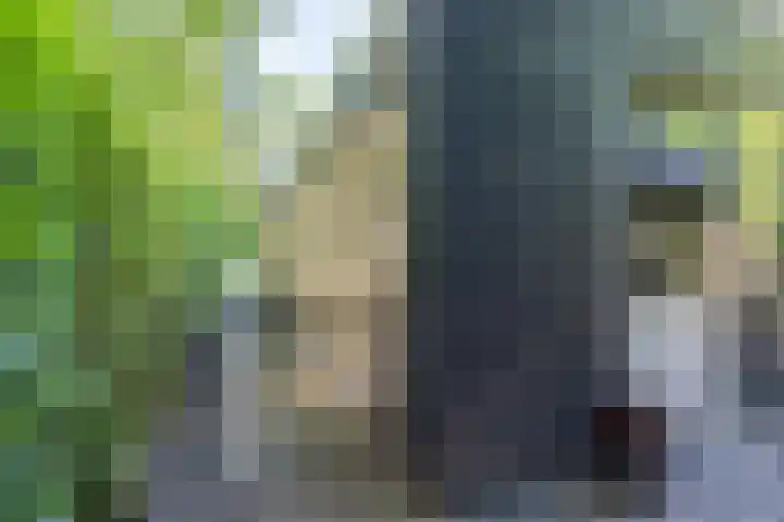Van Haersmasingel 47 Oentsjerk thumbnail 39