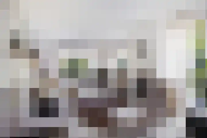 Van Haersmasingel 47 Oentsjerk thumbnail 4