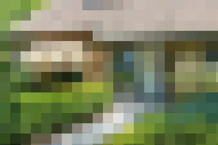 Van Haersmasingel 47 Oentsjerk thumbnail 40
