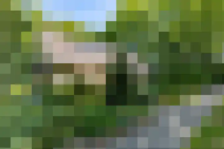 Van Haersmasingel 47 Oentsjerk thumbnail 42