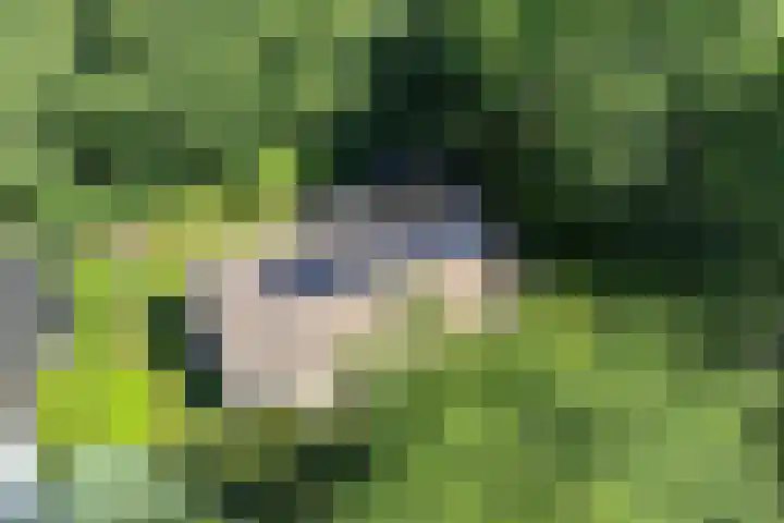Van Haersmasingel 47 Oentsjerk thumbnail 43