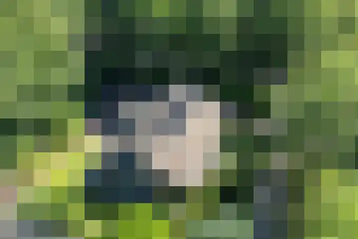 Van Haersmasingel 47 Oentsjerk thumbnail 44