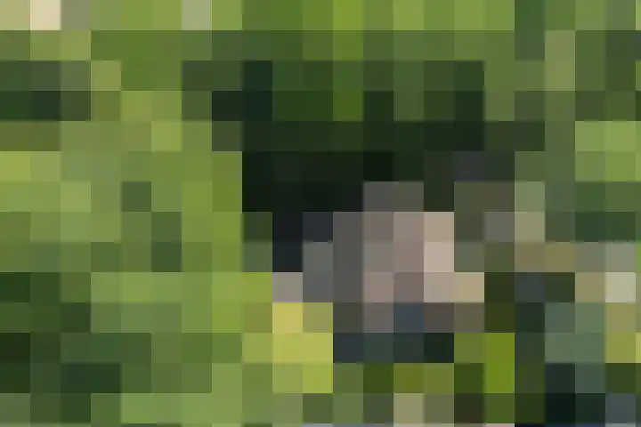 Van Haersmasingel 47 Oentsjerk thumbnail 45
