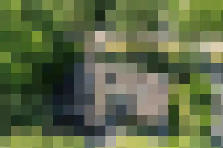 Van Haersmasingel 47 Oentsjerk thumbnail 46