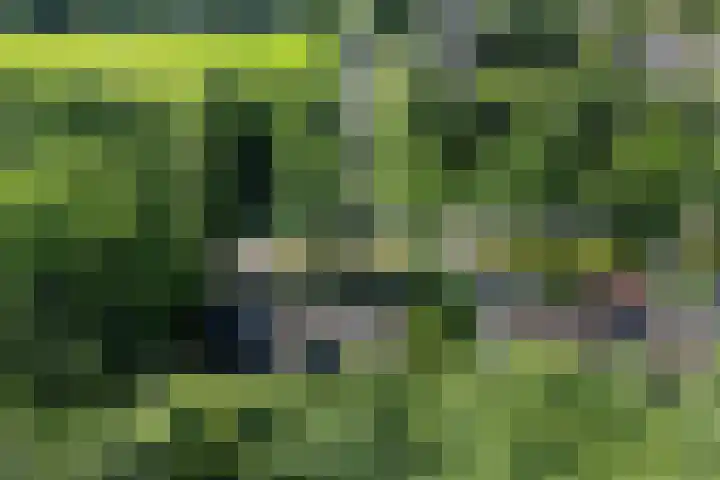 Van Haersmasingel 47 Oentsjerk thumbnail 47
