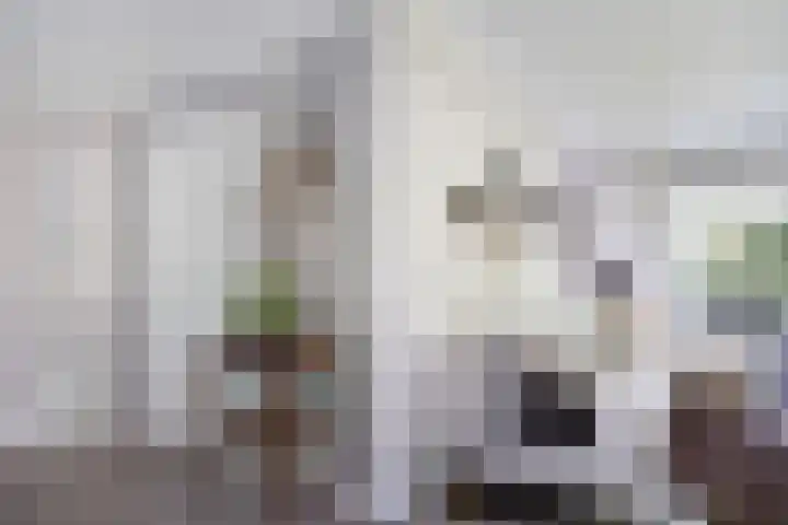 Van Haersmasingel 47 Oentsjerk thumbnail 5