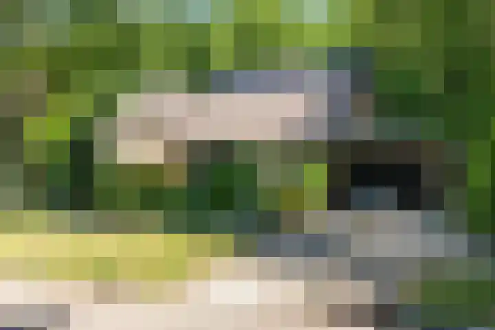 Van Haersmasingel 47 Oentsjerk thumbnail 52