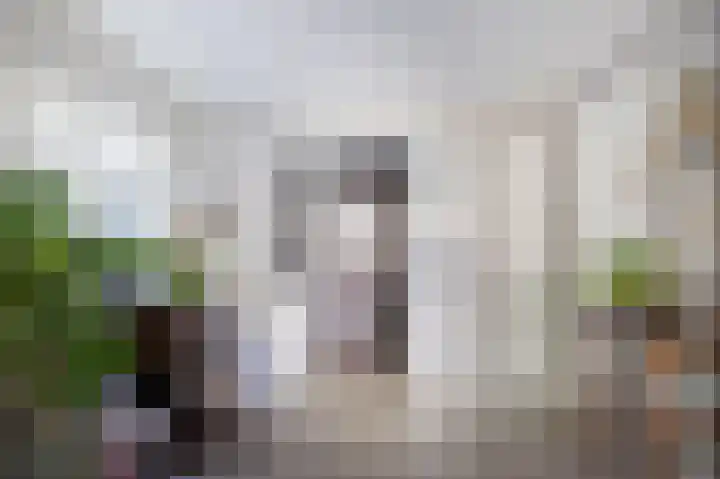 Van Haersmasingel 47 Oentsjerk thumbnail 8