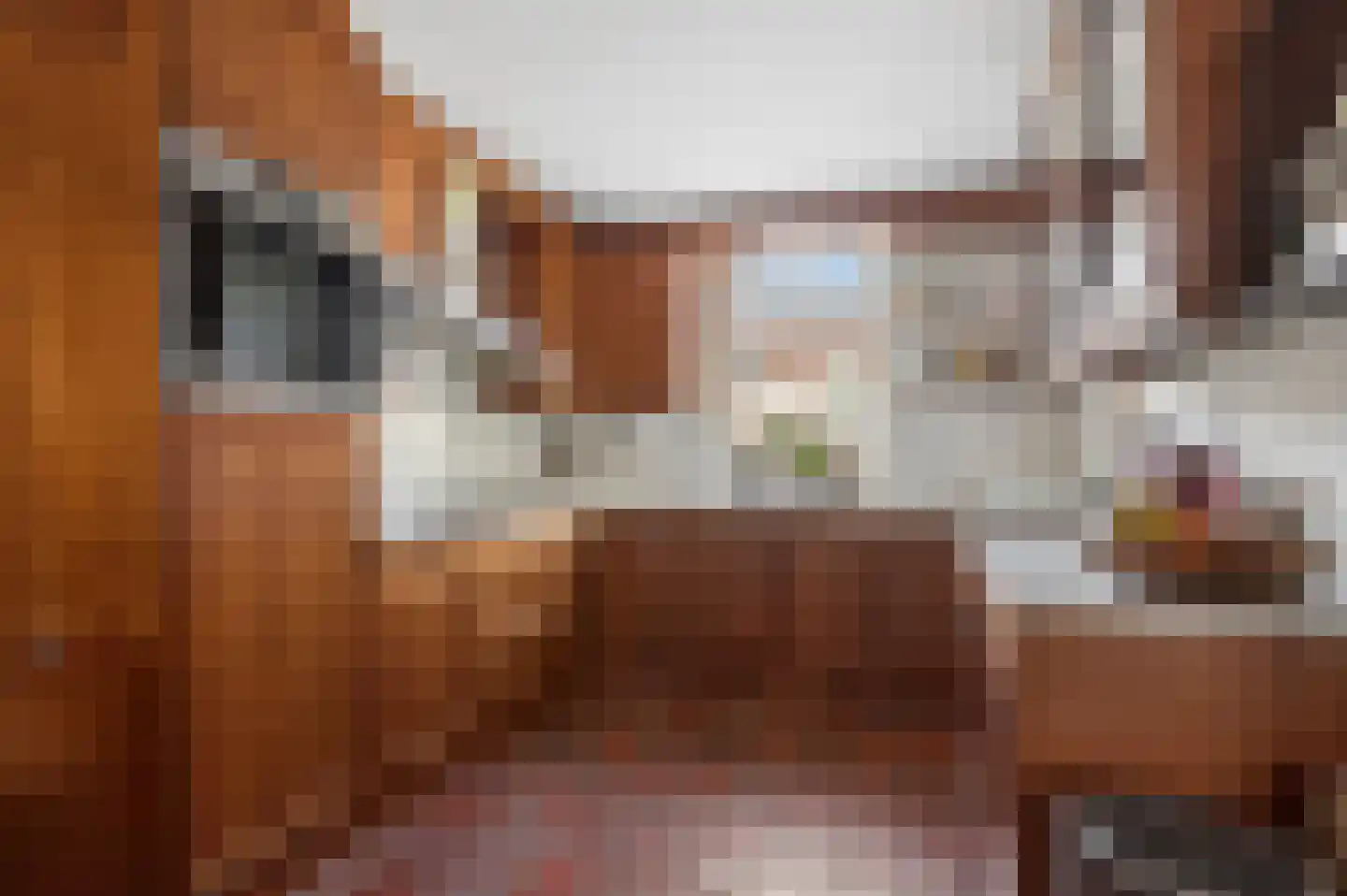 Van Haersoltelaan 20 Barneveld thumbnail 17