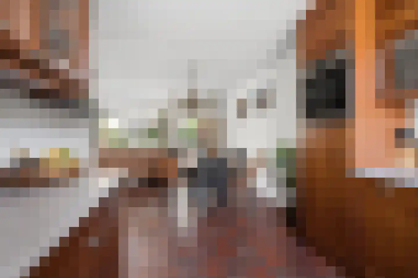 Van Haersoltelaan 20 Barneveld thumbnail 19