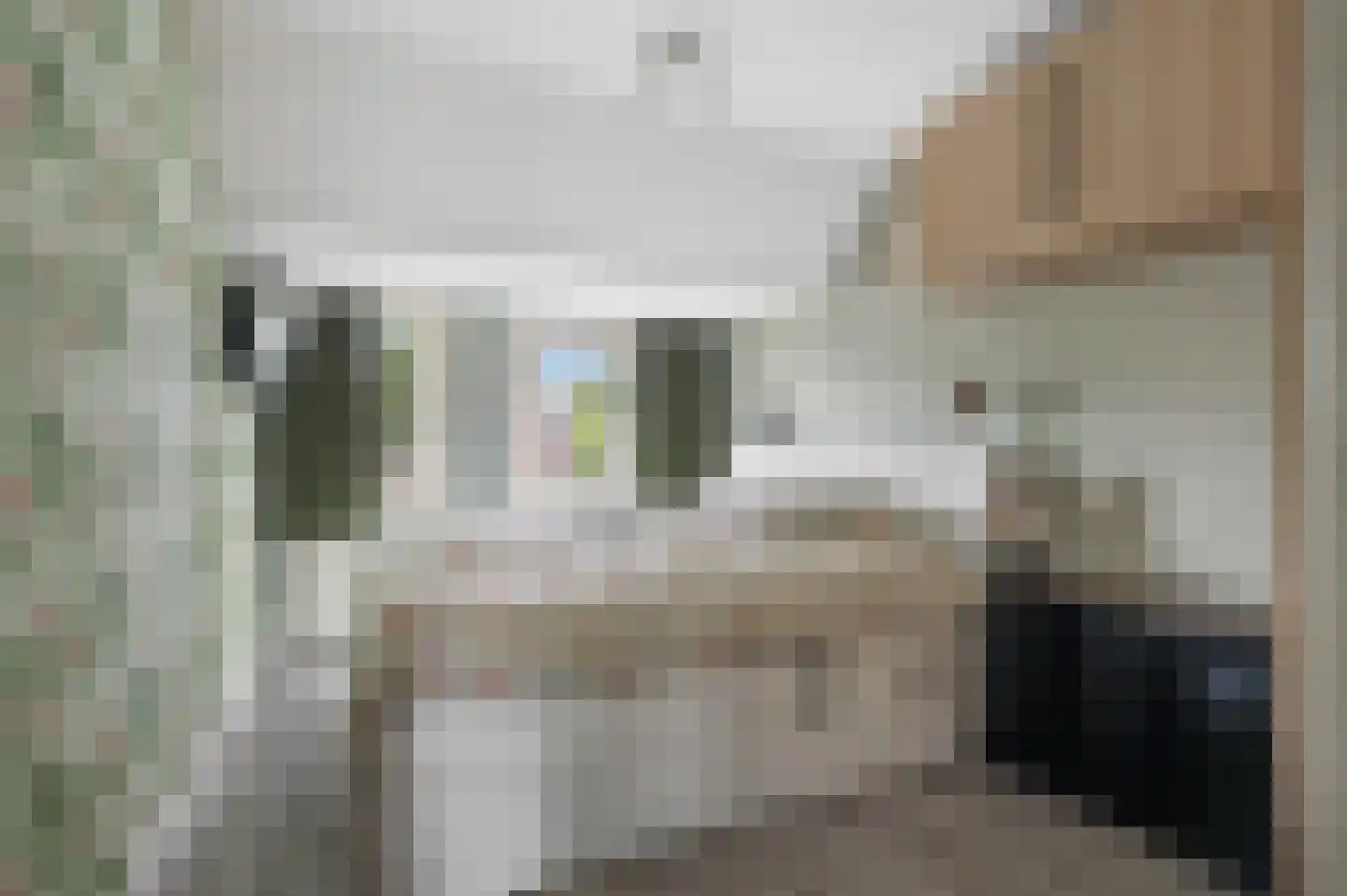 Van Haersoltelaan 20 Barneveld thumbnail 25