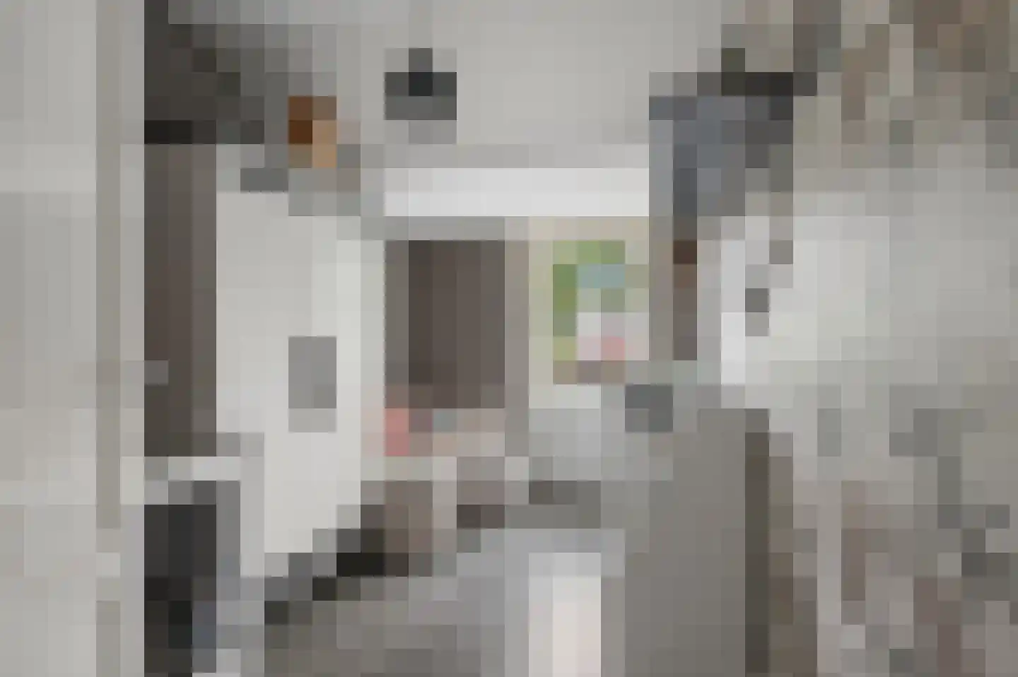 Van Haersoltelaan 20 Barneveld thumbnail 29
