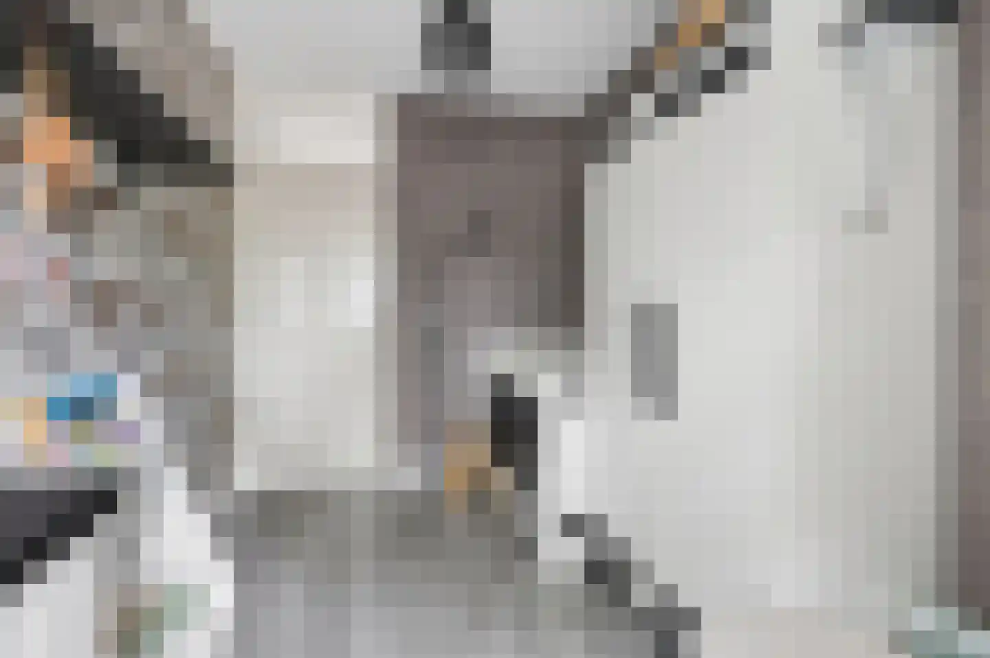 Van Haersoltelaan 20 Barneveld thumbnail 31