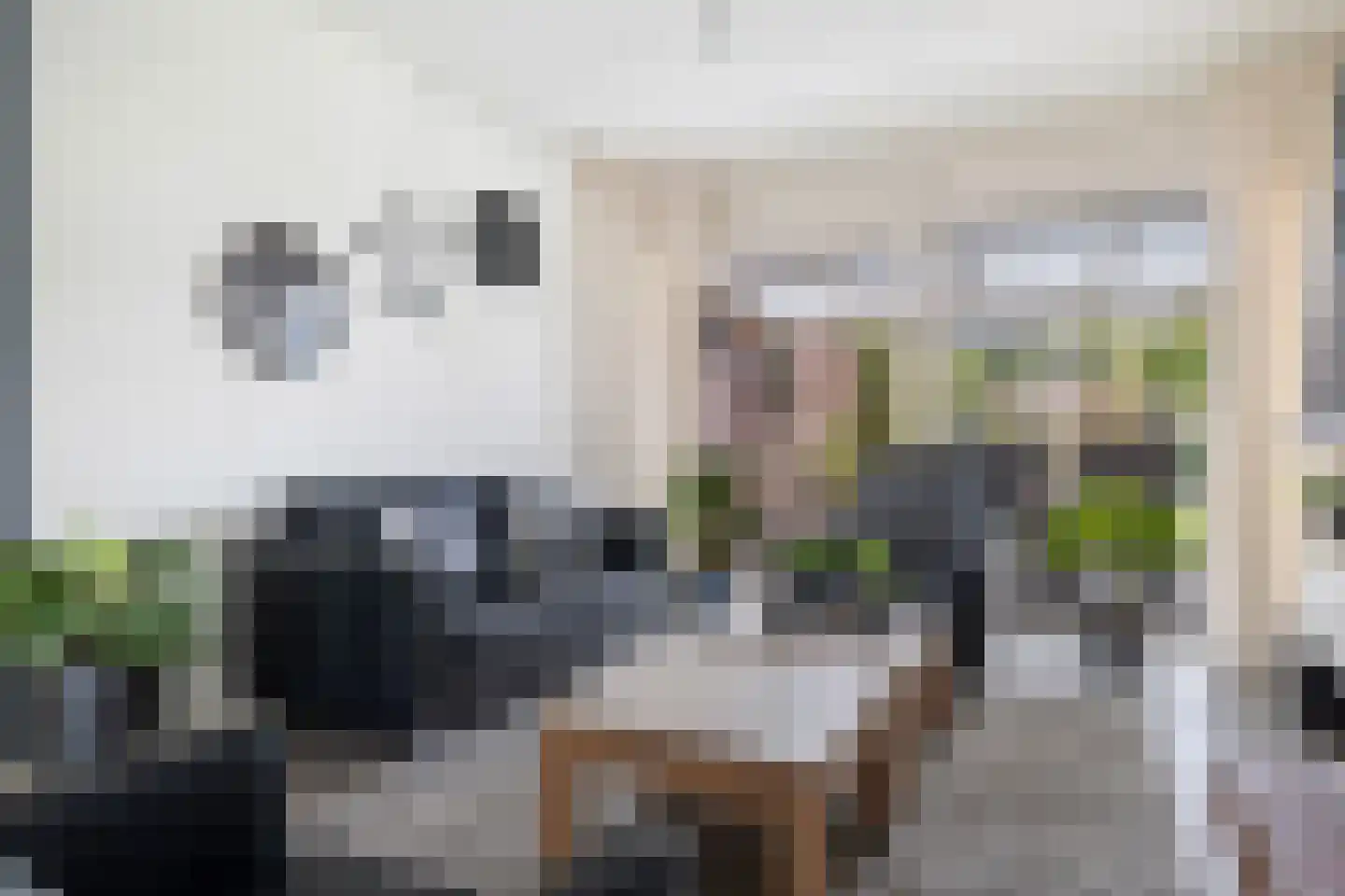 van Haersoltelaan 31 Coevorden thumbnail 11
