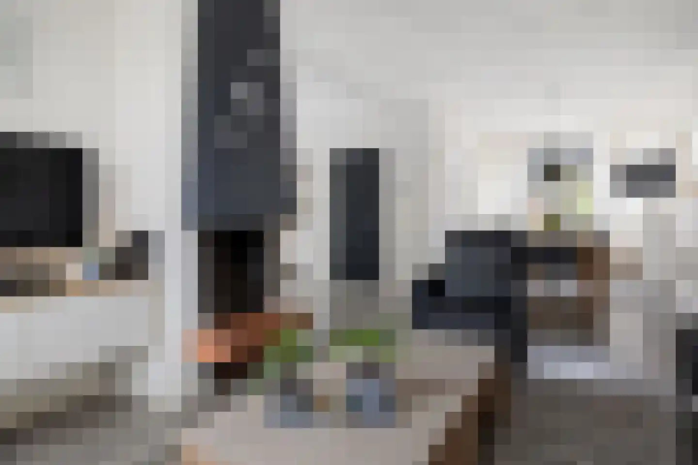 van Haersoltelaan 31 Coevorden thumbnail 12