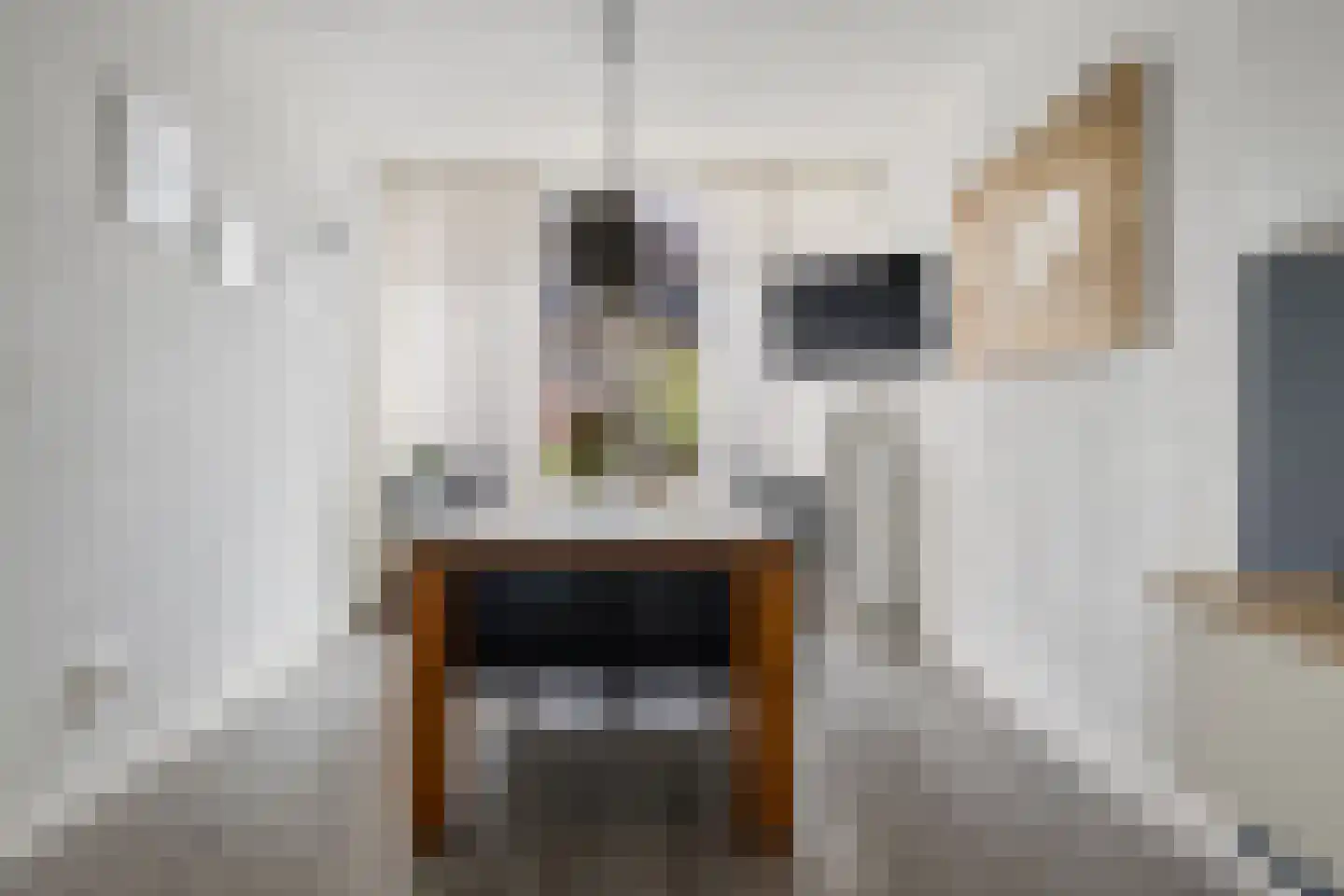 van Haersoltelaan 31 Coevorden thumbnail 14