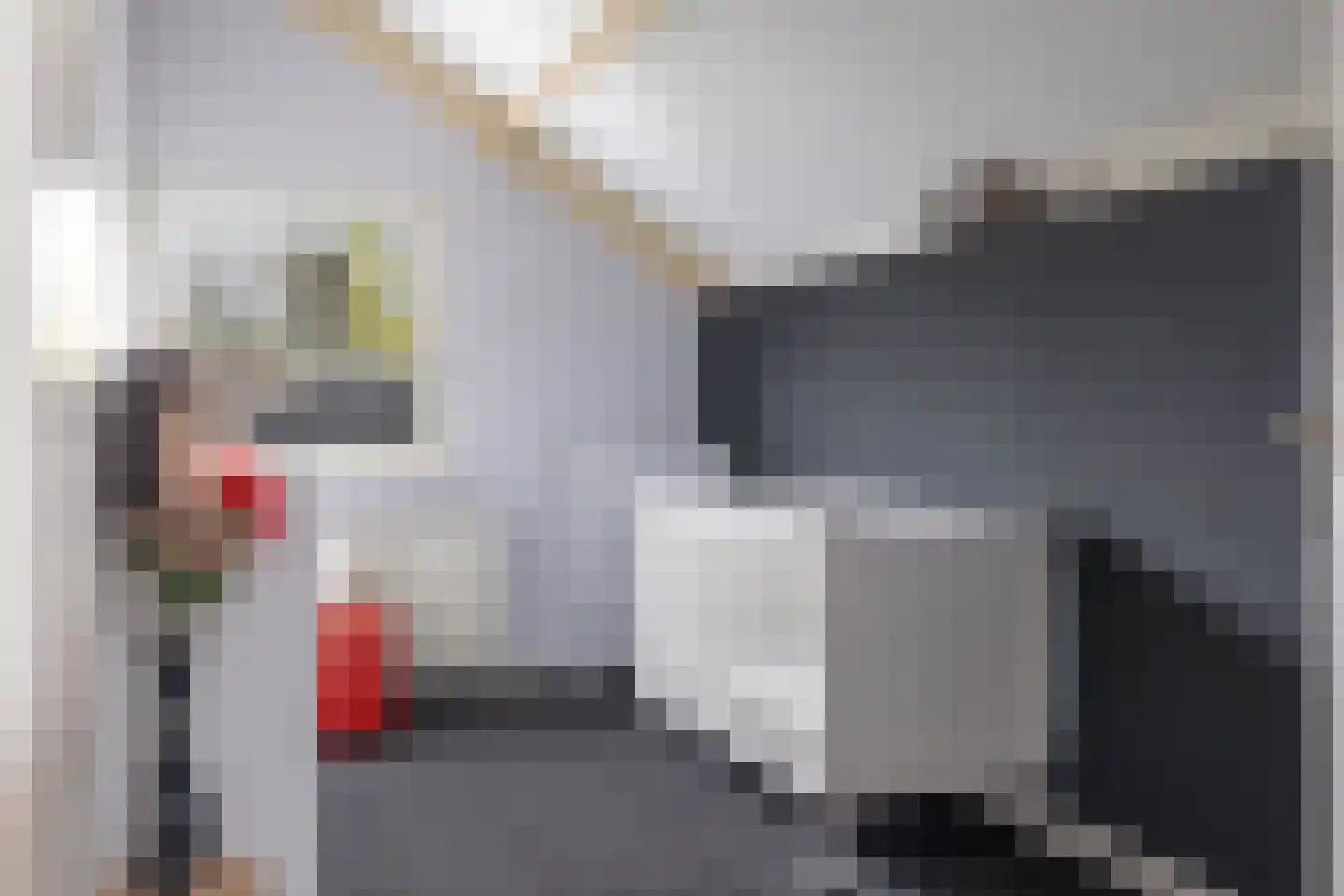 van Haersoltelaan 31 Coevorden thumbnail 20