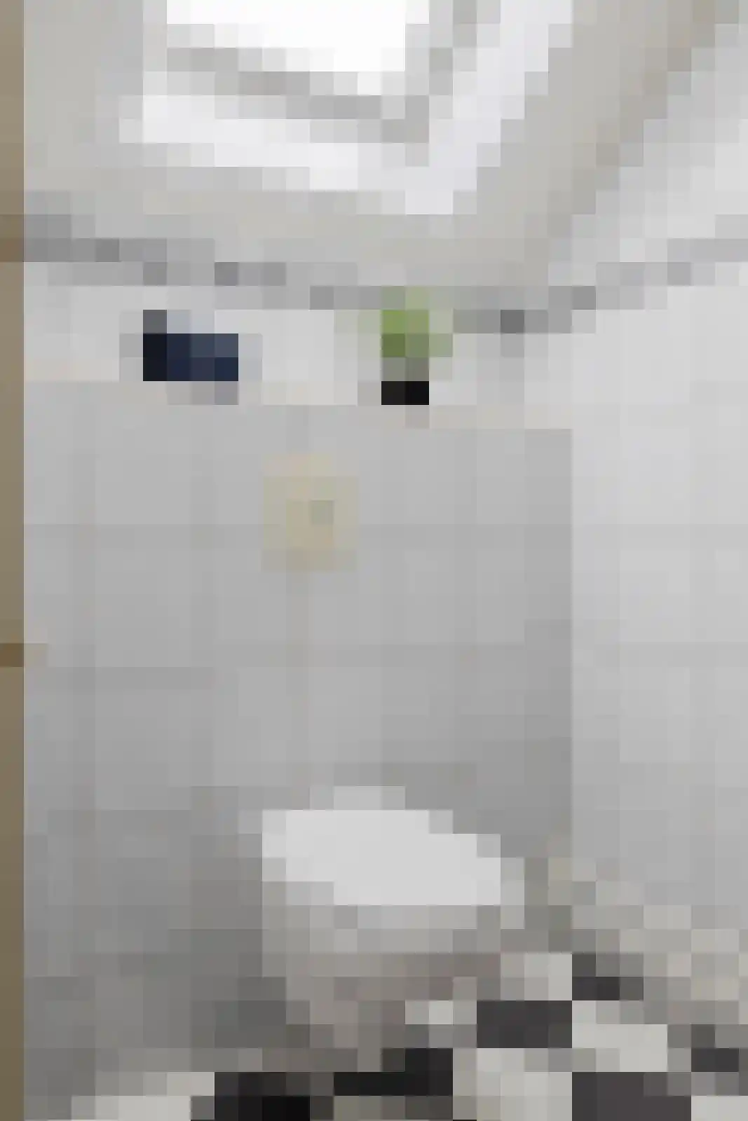 van Haersoltelaan 31 Coevorden thumbnail 27