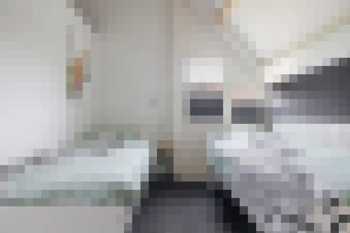 van Haersoltelaan 31 Coevorden thumbnail 30