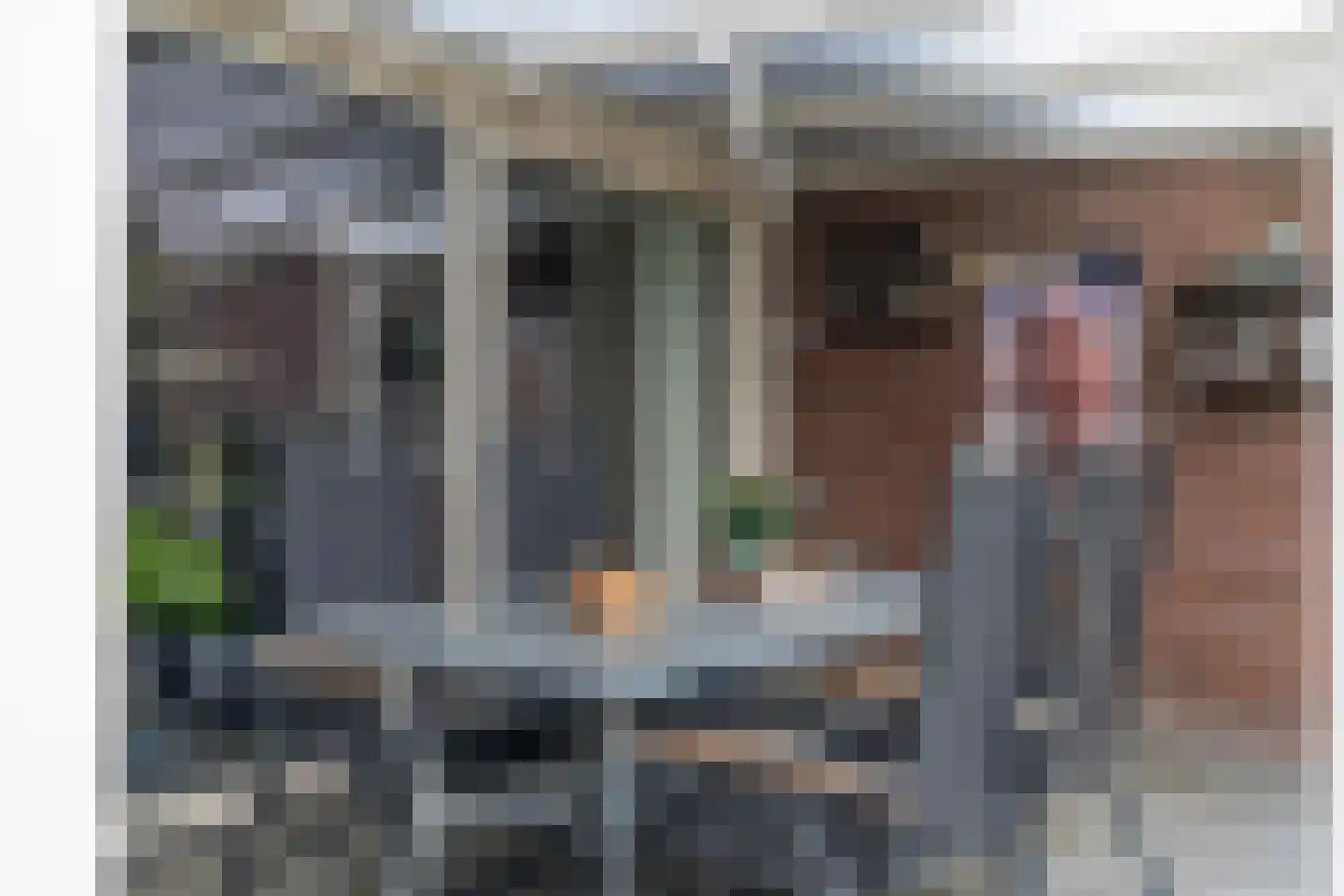 van Haersoltelaan 31 Coevorden thumbnail 32