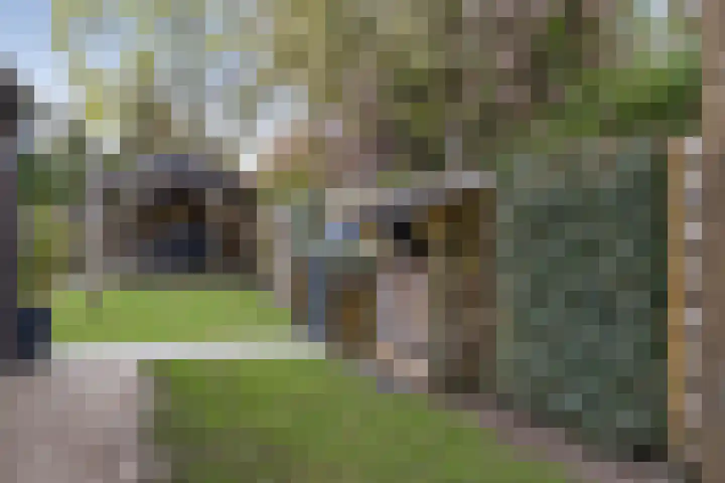 van Haersoltelaan 31 Coevorden thumbnail 36