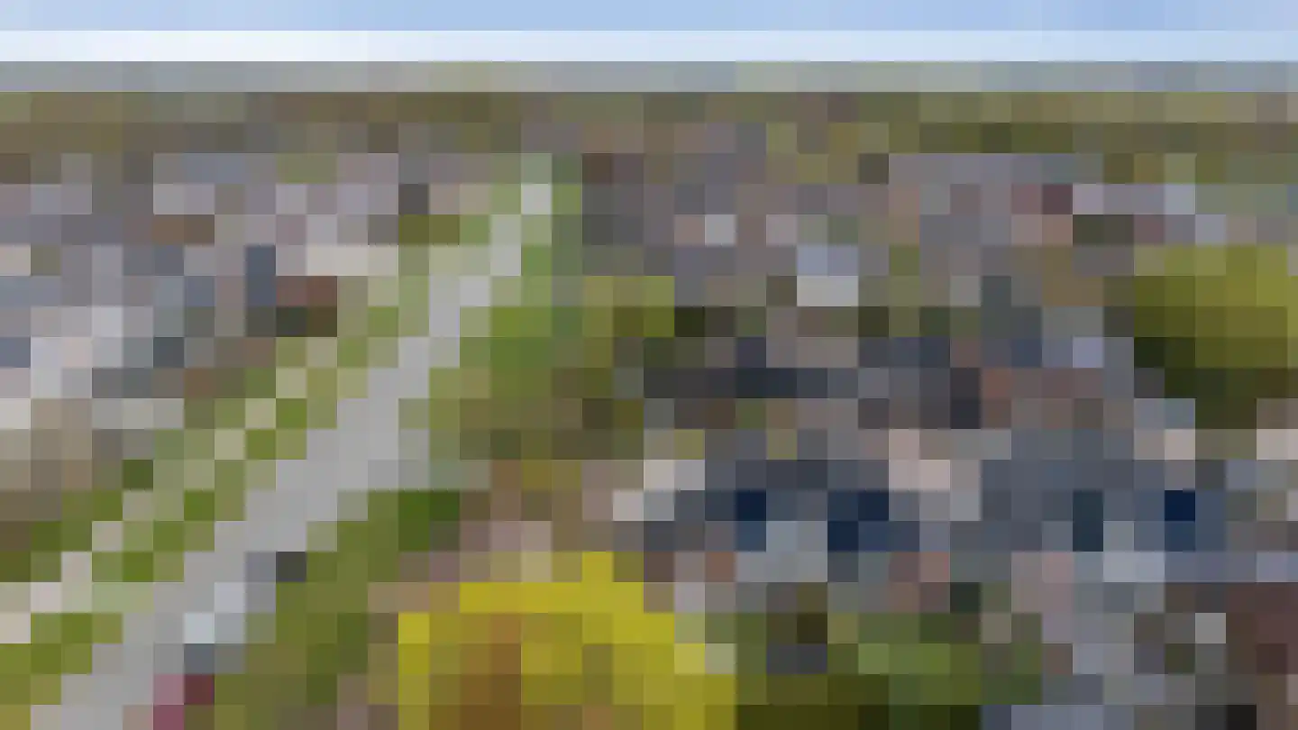 van Haersoltelaan 31 Coevorden thumbnail 4