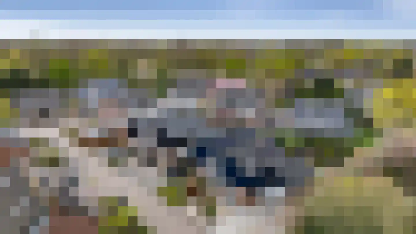 van Haersoltelaan 31 Coevorden thumbnail 40