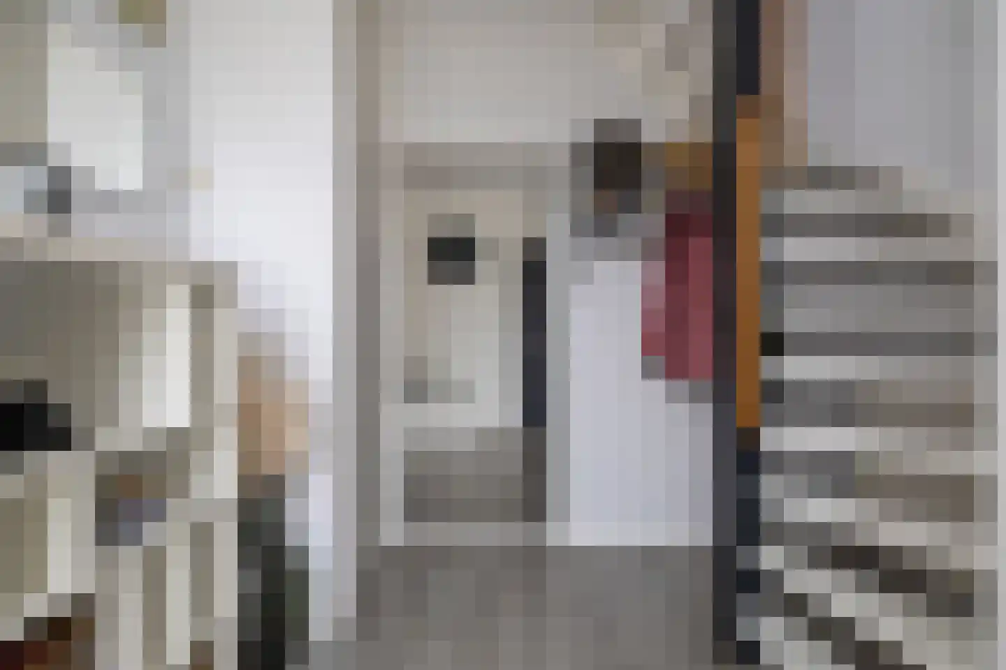 van Haersoltelaan 31 Coevorden thumbnail 6