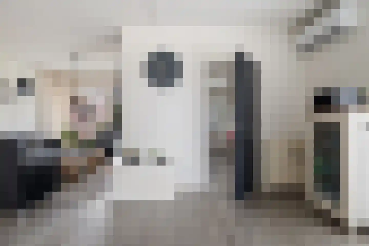 van Haersoltelaan 31 Coevorden thumbnail 9