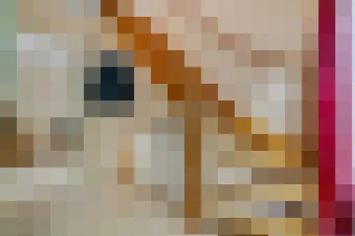 Van Haersoltelaan 34 Barneveld thumbnail 10