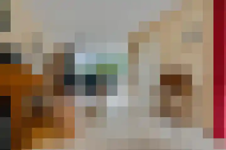 Van Haersoltelaan 34 Barneveld thumbnail 16