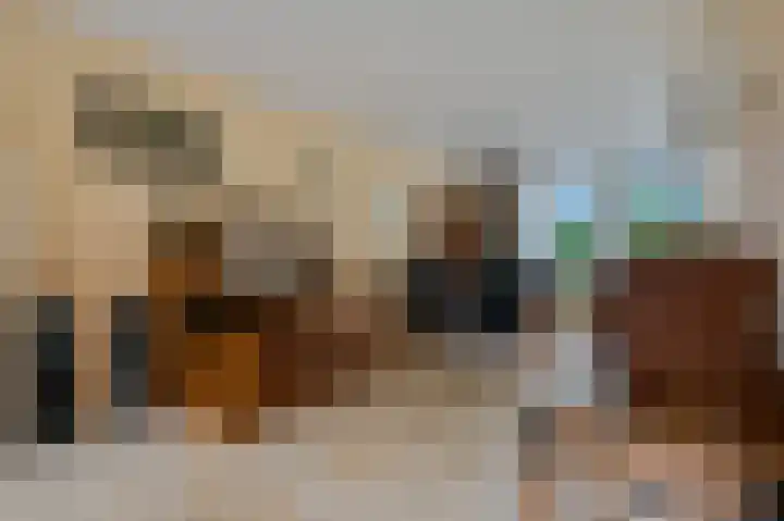 Van Haersoltelaan 34 Barneveld thumbnail 17
