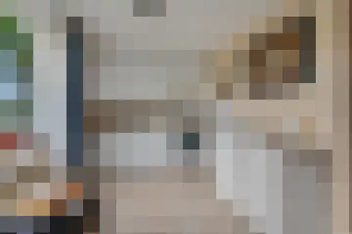Van Haersoltelaan 34 Barneveld thumbnail 19