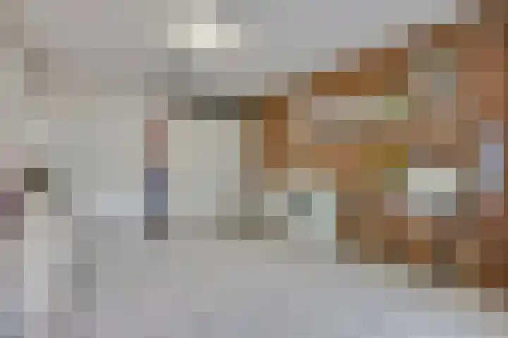 Van Haersoltelaan 34 Barneveld thumbnail 21
