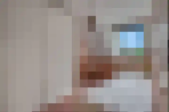 Van Haersoltelaan 34 Barneveld thumbnail 30