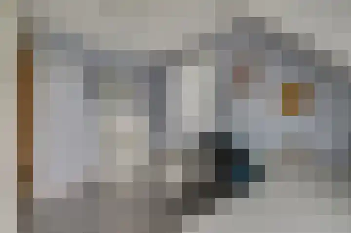 Van Haersoltelaan 34 Barneveld thumbnail 33