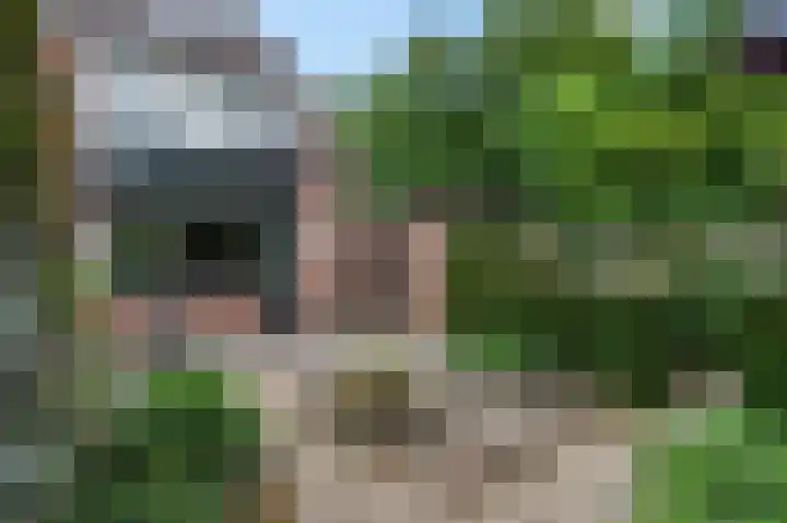 Van Haersoltelaan 34 Barneveld thumbnail 45