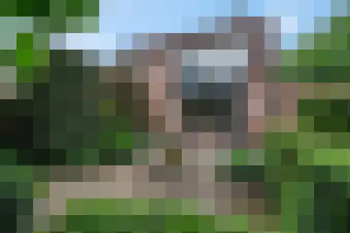 Van Haersoltelaan 34 Barneveld thumbnail 46