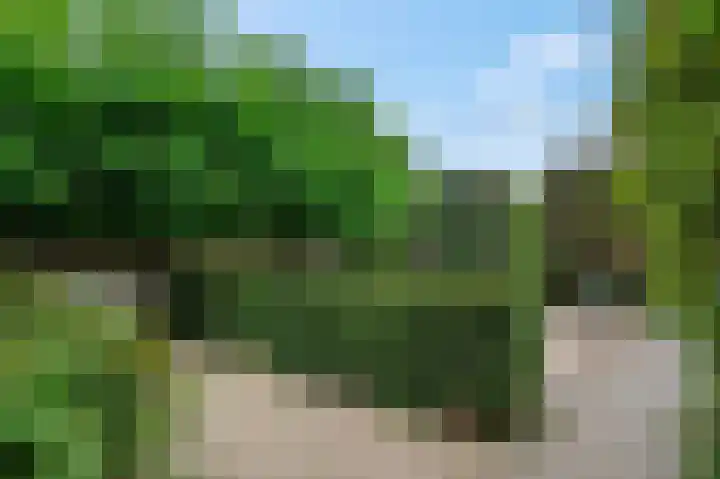 Van Haersoltelaan 34 Barneveld thumbnail 48